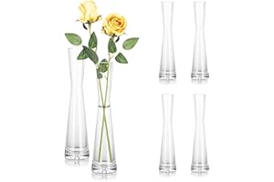 Hewory Vase à Fleurs en Verre Lot De 6 - 24cm Vase à Bourgeons, Tige Unique en Cristal Clair pour Centre De Table, Hauts Et Fins pour Salon, Mariage