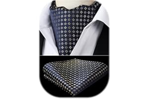HISDERN Cravatta Ascot Uomo Cravatte E Fazzoletto Set Cravatta A Paisley Fiori Formale Matrimonio Elegante Cravatta Jacquard Sciarpa Ascot Uomo