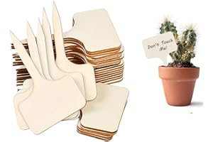 HSAJS Cartelli in legno per l'etichettatura: tappi per piante in legno di alta qualità in un set con 100 pezzi di cartelli per piante - cartelli in legno resistenti alle intemperie per l'etichettatura