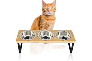 KOOLYOUTH Raised Cat Food Bowl Set, 3PCS Stainless Steel Cat Bowls with 15° Stand Tilted, Upgrade Cat Feeding Station for Food and Water, Anti Vomiting, Premium Bamboo Elevated Cat Bowl for Cats & Small Dogs