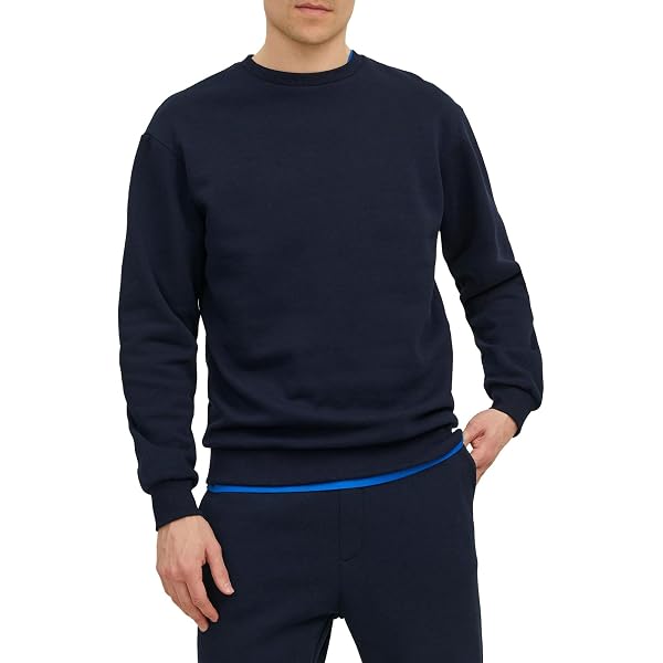 Jack & Jones EURBAN EDGE CREW NECK NOOS - Felpa - Monks Robe Ja222s3ef O12