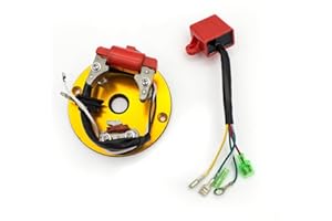 FXCNC Racing Inner Rotor Kit fit for XR50 CRF50 XR70 Pit Bike Mini ATV (Engines: XR/CRF 50, 70, Z 50, BBR, Thumpstar, SSR, Sikk MX) Gold