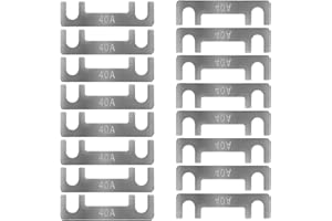 HYRYC Streifensicherungen Blattsicherung Flachsicherungsstreifen 16 Stk Auto Sicherung 30A 40A 50A 60A 70A 80A 100A 110A 125A 150A Maximale Spannung bis 32V, für PKW Wohnmobil (40A)