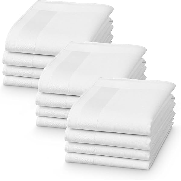 Lot De 3 Mouchoirs Alba Coton Suisse Blanc - Brodés Main Initiale S, Neufs