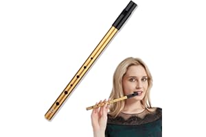 VILITI Tin Whistle D,Penny Whistle Six-Hole Irish Tin Alloy for Beginners ABS Resin Nozzle Safe Inlet Easy To Blow Perfect For Traditional Celtic Music,for Beginners Intermediates Expert Band Performances