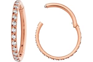 365 Sleepers G23 Anillo de segmento con bisagras de gema unisex de titanio Helix Tragus Septum Clicker Nariz Labio Aro Pendiente Piercing para el cuerpo Joyería