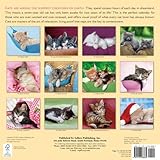 Image de Cat Naps Calendar 2013