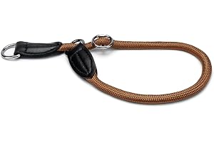 lionto Hundhalsband i slitstark nylon för träning, 55 cm långt, 1 cm tjockt, strypstopp-halsband i läderimitation med metallr