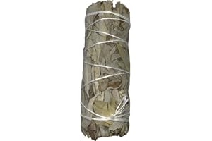 Związany Biały Szałwia Kalifornii | Ekologiczny i zrównoważony | 100% Oryginalny | Oczyszczanie, Czystość Energetyczna i Harmonia | 10cm | 1 Jednostka | HOSTENATURA