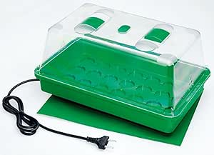 Romberg Gian, Zimmergew&auml;chshaus 38x24x19 cm