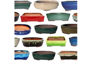 ‎EXOTENHERZ exotenherz Bonsai-Schale Größe 4 Sonderposten Zufallsform und Zufallsfarbe L ca. 25cm B ca. 20cm H ca. 7,5cm