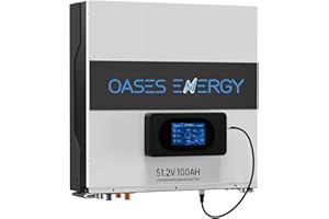 Oasesenergy Batterie Lithium 48V 100Ah, Montage Mural 5kWh LiFePO4 Batterie, avec écran Tactile Intelligent, durée de Vie de 10 Ans, Camping-Car, Solaire, Hors réseau, PV, caravanes