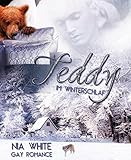Image de Teddy im Winterschlaf: Gay Fantasy Romance