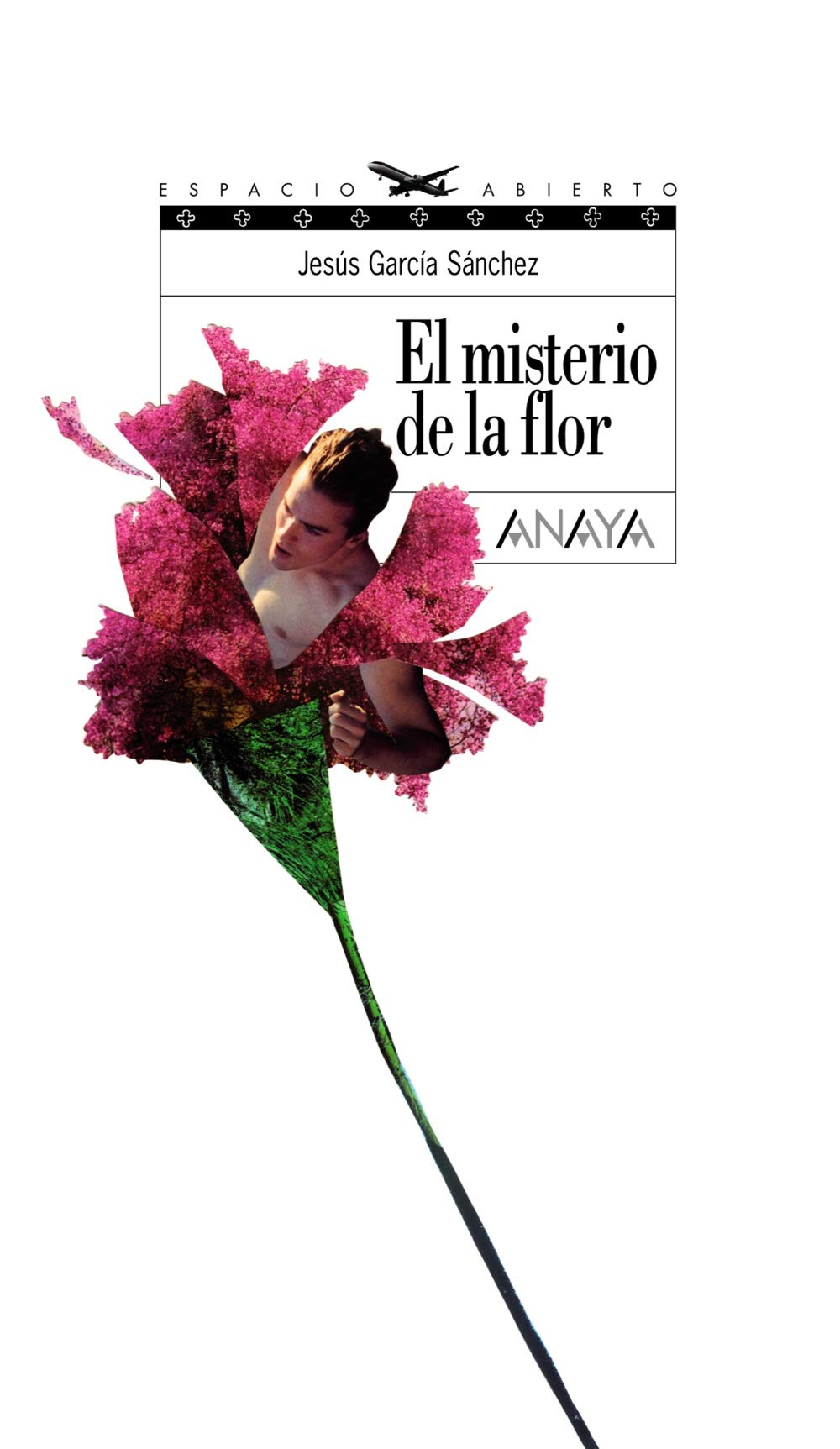 El misterio de la flor - Espacio Abierto)