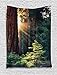 Produktbild Soefipok Nationalparks Home Decor Tapisserie, Morgensonnenlicht in der Wildnis Yosemite Sierra Nevada Naturkunst, Wandbehang für Schlafzimmer Wohnzimmer Schlafsaal