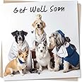 Cute Doctors and Nurses Dog Get Well Soon Card - Humour and Heartfelt Card For Family and Friends - Fun Get Well Soon Wish for Men, Women - Made in UK