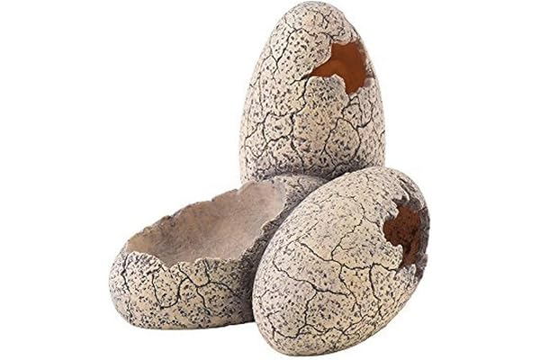 Exoterra Dinosaur Eggs Décoration pour Reptile/Amphibien