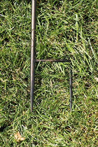 CLP Pflanzen-Rankstab AROSA aus Eisen, Höhe 125 cm, Rankhilfe für Kletterpflanzen bronze - 6