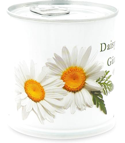 Kit Coltivazione Lavanda MacFlowers - Lattina Con Semi Biologici E Istruzioni