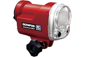 Olympus V6320120E000 Flash