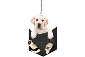 Hahhhha Colgante interior colgante espejo retrovisor decoración simulación mini mascota perro miniatura figura colgante coche lindo cachorro adorno decoración coche auto hogar accesorios