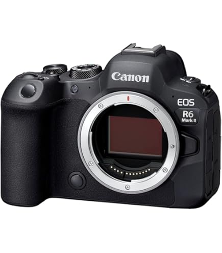 canon eos R6 ボディ Buy Canon EOS R6 Mark II Body Online at Low Prices in India