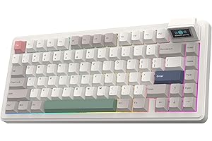 EPOMAKER RT82 Teclado Mecánico Inalámbrico para Juegos con Pantalla, Personalizable con Via, 2.4GHz/USB-C/BT5.0, RGB, Gasket, Amortiguado de 5 Capas, Teclas PBT, Hot-Swap, US ANSI (Sea Salt Silent)