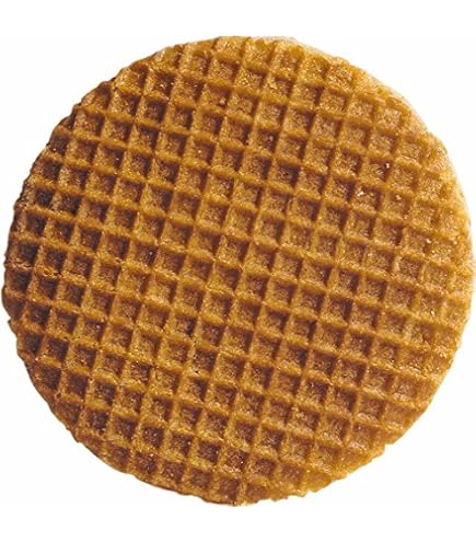Cucchiaini Gelato Compostabili Salmone - 560 Pezzi Riutilizzabili, 9.5cm, Per Dessert E Gelaterie
