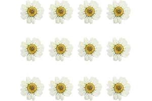 EXCEART Dried Pressed Flower Petals for Crafts Art Candle Soap Making Phone Case Bookmark DIY Pressed Herbarium Decor - Daisy & Herb 12pcs