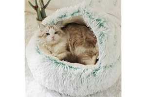 DG Catiee Lit caverne pour chat et petit chien, sac de couchage apaisant et chaud en forme d'igloo pour chat d'intérieur et chiots de petite taille (velours, 40 cm, vert)