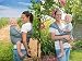 Haul'A Baby 4-in-1 Baby Wrap - Ring Sling - Maternity Belt & Belly Binder - Slate