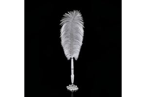 Tiiyee Piuma Penna a Sfera, Struzzo Quill in Plastica con Supporto Penne Inchiostro Novità Retrò Stilografica Stilografiche Piume Asciugatura Cancelleria Decorativa (Base Argento)