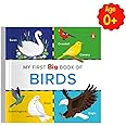 My First Big Book of Birds (Penguin Early Learning Series): Illustrated Board Book of Birds for PreSchool Kids, Toddlers