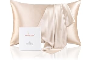 LOOMBERRY 22 Momme 100% Natural Pure Mulberry Silk Pillowcase for Hair and Skin (1 Piece) Both Sides 22 Momme Highest Grade 6A with Hidden Zipper Naturally Hypoallergenic (Beige, Standard 50x66CM)