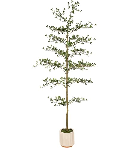 FEELEAD Knstlicher schwarzer Olivenbaum, 2,1 m  knstlicher schattiger  Damenbaum mit realistischen Blttern und natrlichen Zweigen, 2,1 m hoch,  knstlicher Olivenbaum fr Innen- und Brodekoration : Amazon.de: Spielzeug