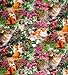 Produktbild Fat Quarter Simple Pleasures Katzen, Baumwolle, 50 x 55 cm