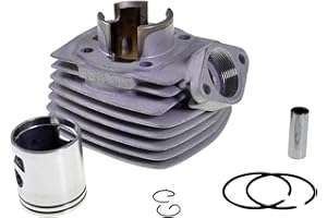 50ccm Sport Tuning Zylinder Kit Airsal Sport für 103 104 Brida T3