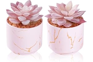 ZENIDA Succulent Artificial Plants,Cute Fake Succulents in 2 Pink Ceramic Pots,Small Fake Plants for Office,Table,Desk,Bathroom, Bedroom,Aesthetic Room Shelves Decor,Desk Decorations for Women