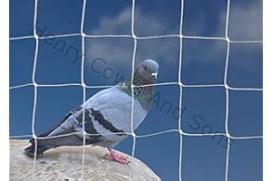HENRY COWLS Bird Netting For the Garden 5m x 5m 50mm 2" Anti Pigeon Knotted Mesh Heavy Duty White Net Protection