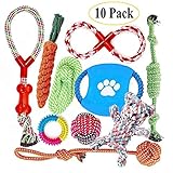 Perfekte Größe für Welpen und kleine bis mittelgroße Hunderassen - Welpen-Kauspielzeug lindert die Schmerzen von entzündetem Zahnfleisch und dient als lustiges Kauspielzeug für Hunde.