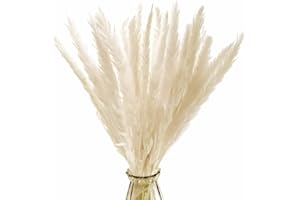 SONGJUM 30 Piezas Pampas Secas Decoracion,Decoración de Hierba de Pampas Seca Natural,Hierba de Pampa Seca Flores Secas Utilizado en Sala de Estar Comedor Boda Fiesta Decoración(Beige)