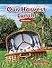 Produktbild Our Harvest Lunch (Mathematics Readers Level 2)