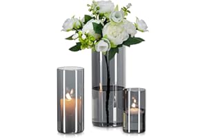 Glasseam Glasvase Zylinder Vase Grau: 3 Stück Glas Vasen Set für Wohnzimmer Deko Glaszylinder Windlicht - Runde Blumenvase Modern Glasvasen für Tischdeko Tulpen Pampasgras (10/15/20cm)