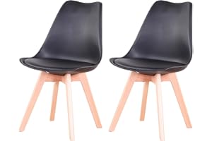 EGOONM Sillas Comedor 2 Sillas, Nordicas Sillas para Cocina, Oficina, Bar, Sala de Estar-Silla de Cena (Negro-2)