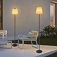 HvaJvny Solar Floor Lamp for Outdoor/Indoor, 2 Pack Outdoor Floor Lamps Waterproof, 3 Color Temperatures Cordless Floor Lamp for Patio Porch Yard Garden