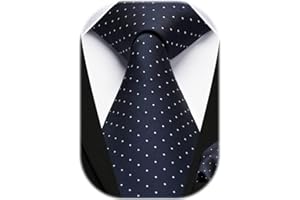 HISDERN Cravatta Uomo Elegante a Pois Cravatte e Fazzoletto da Matrimonio Set Cravatta da Business