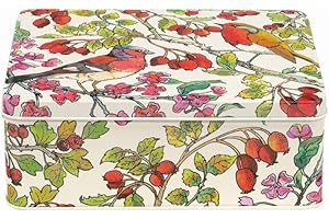 Elite Gift Boxes Emma Bridgewater - Scatola rettangolare con uccelli in siepe, 195 x 154 x 75 mm