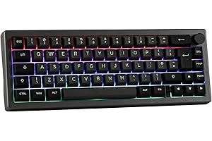 EPOMAKER EK68 65% Teclado Mecánico Inalámbrico/Bluetooth/USB-C para Juegos, con NKRO, Hot Swap, Batería 3000mAh, RGB per Win/Mac (Epomaker Flamingo Switch, EK68 ISO Black Silver)