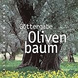 Göttergabe Olivenbaum by