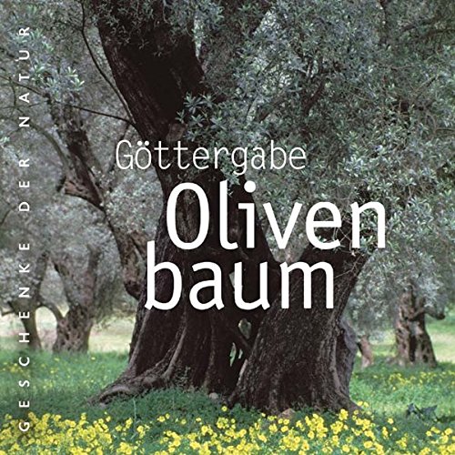 Göttergabe Olivenbaum
